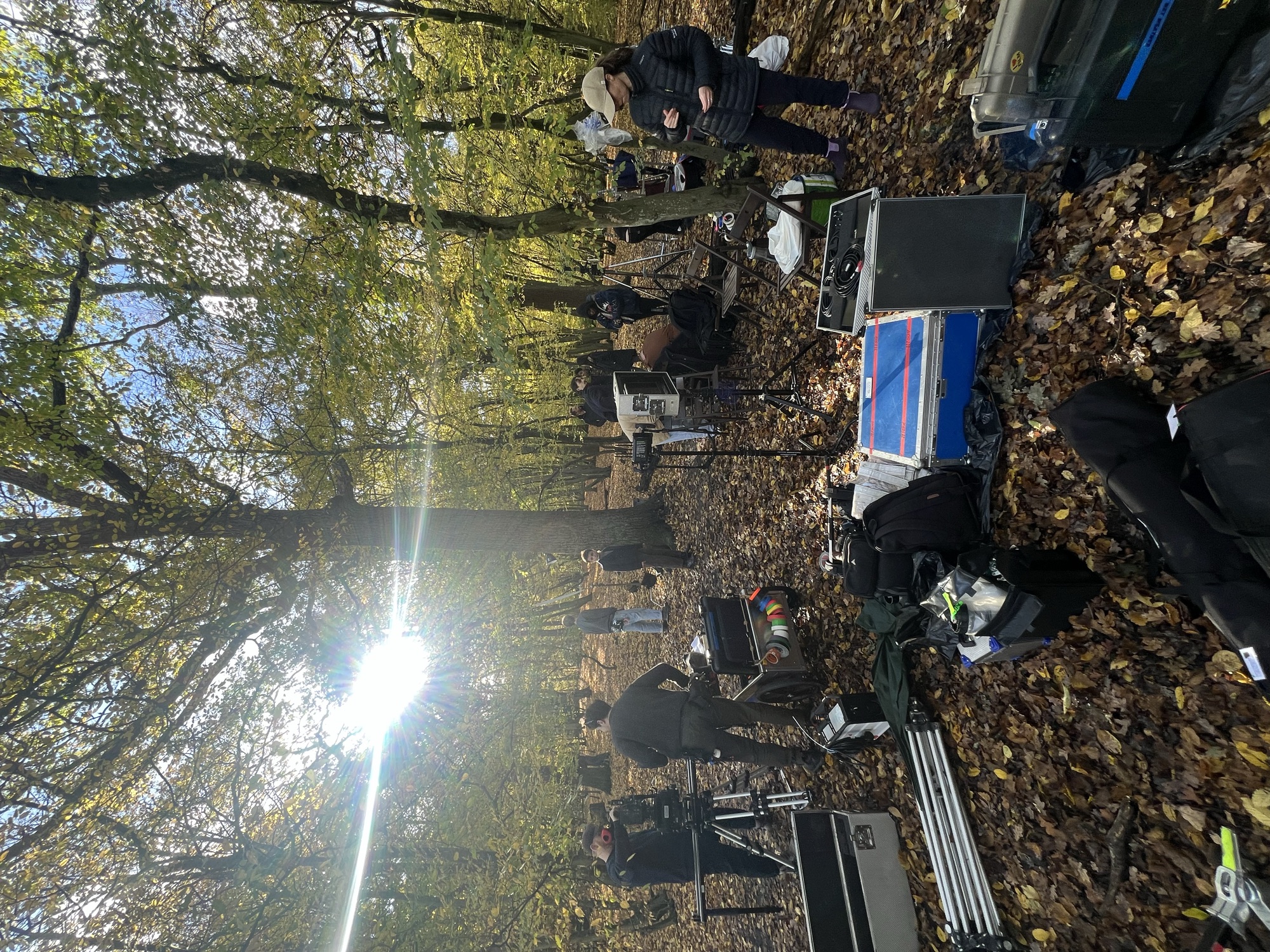 Woodland set-up with lights among the autumn trees